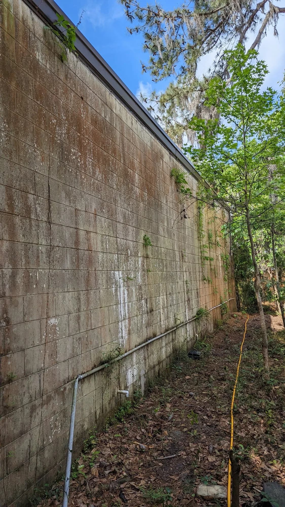 Concrete block wall with heavy organic staining before cleaning