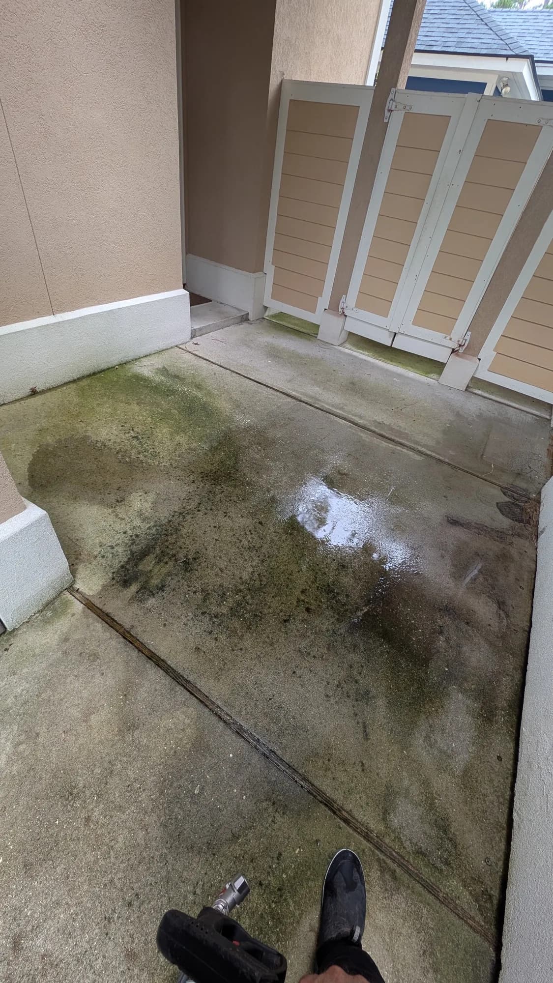 Small concrete porch landing dark with algae and grime before cleaning