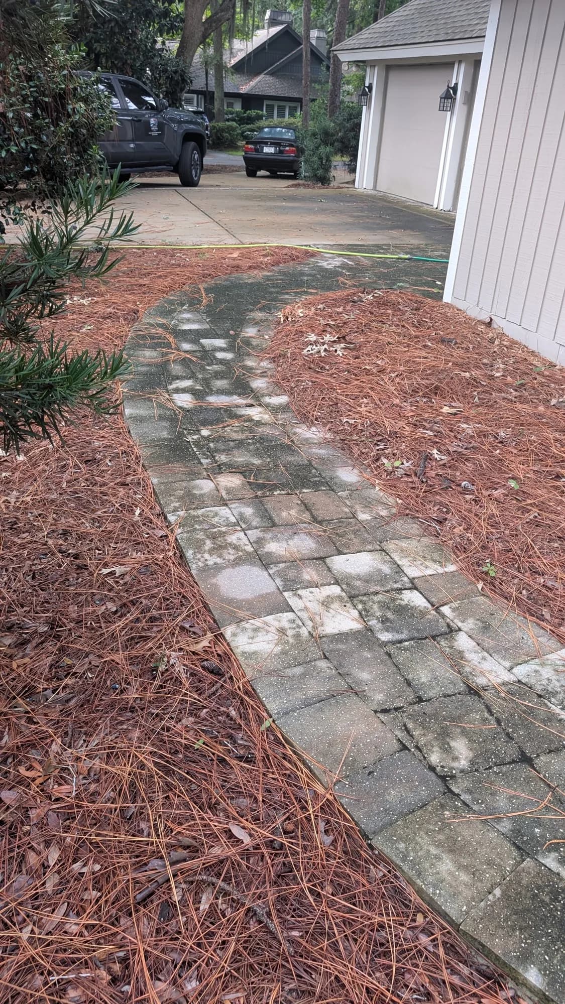 Curving paver walkway dark with algae in the joints before cleaning