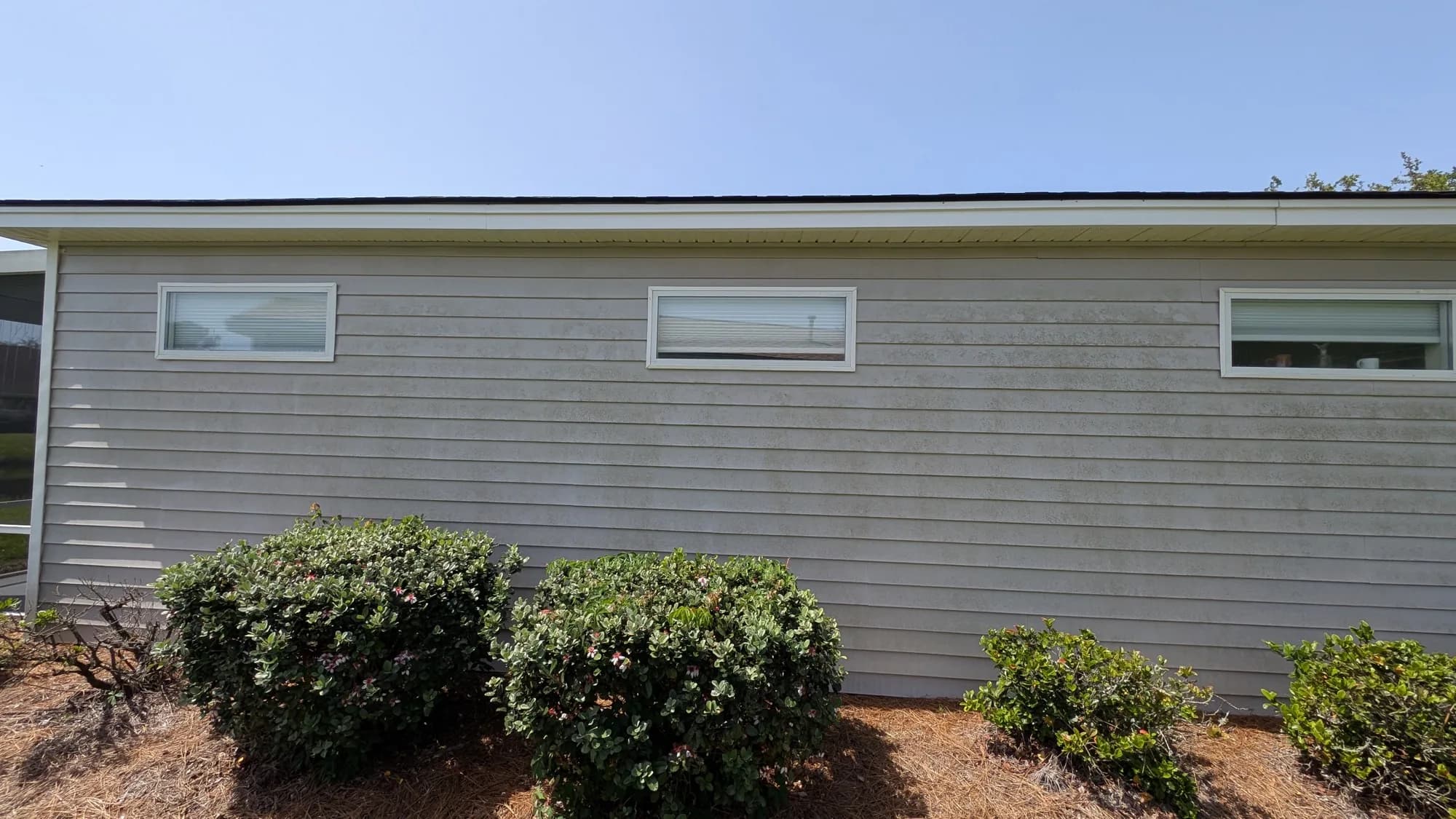 Long horizontal siding wall with gray mildew streaking before washing