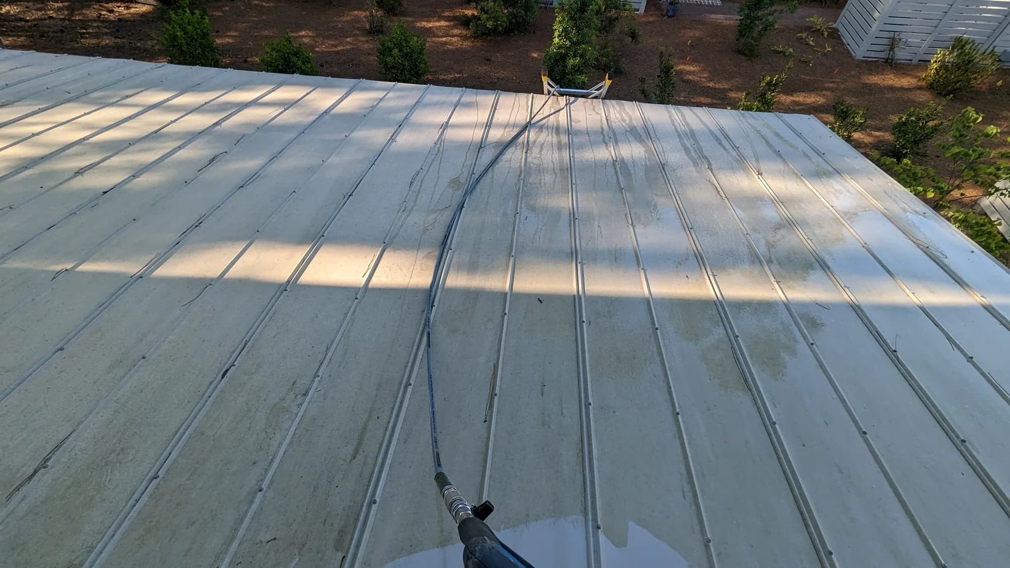 Green algae on siding before a soft wash house washing treatment