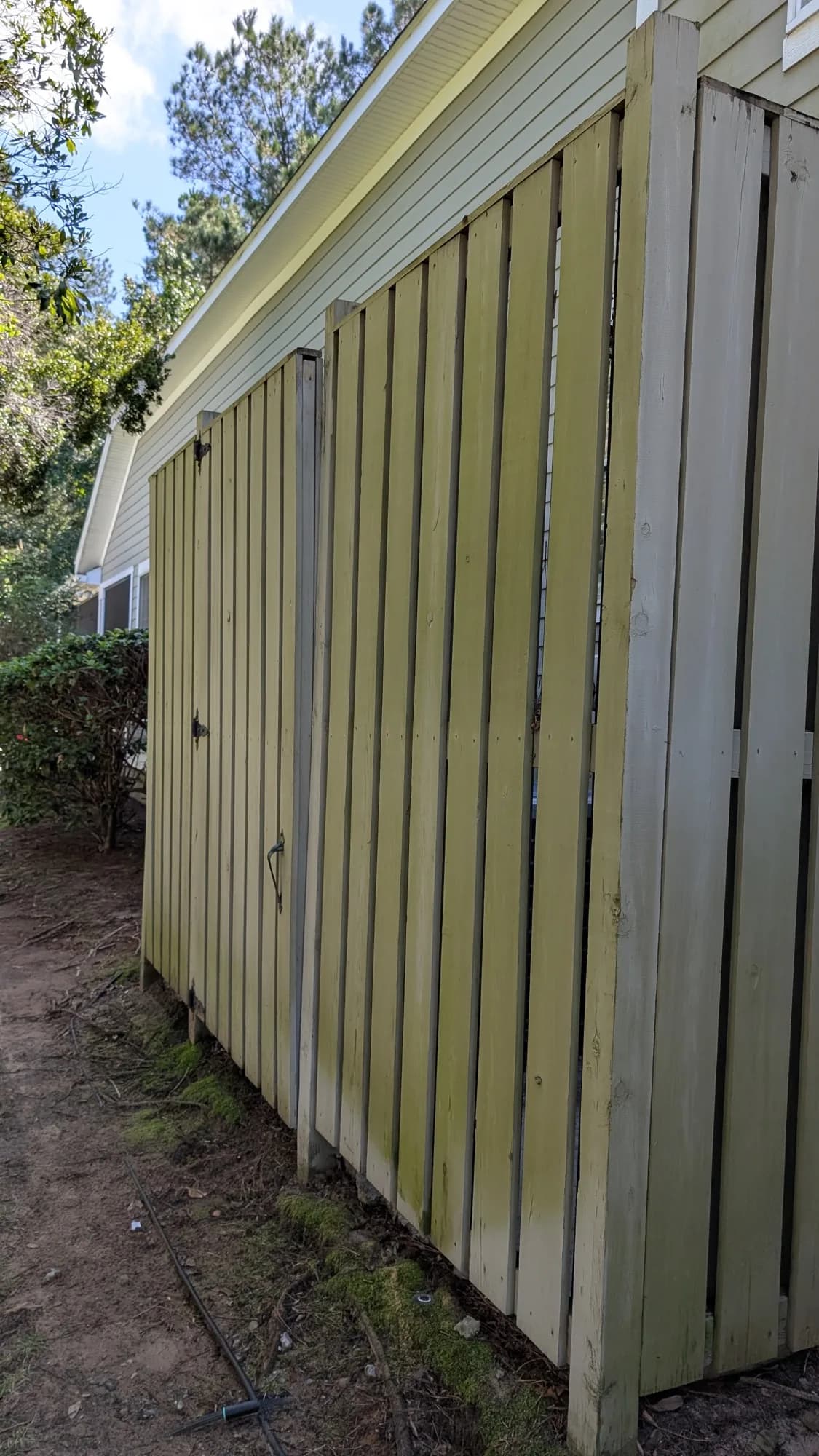 Wood privacy fence with green algae discoloration before cleaning